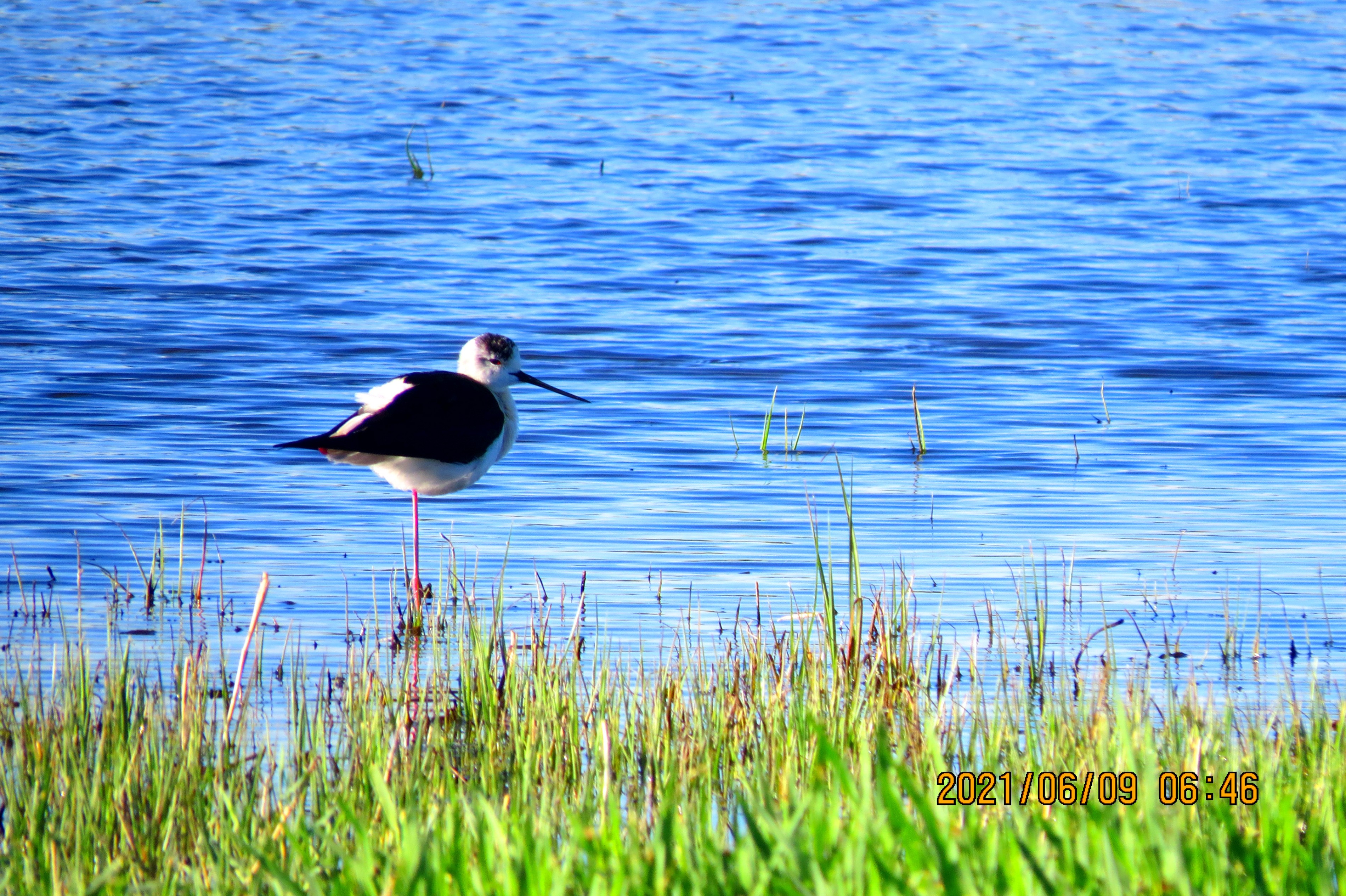 內(nèi)蒙古額吉淖爾制鹽有限公司呼和浩特白塔機(jī)場(chǎng)媒體廣告發(fā)布服務(wù)采購(gòu)項(xiàng)目中標(biāo)公示