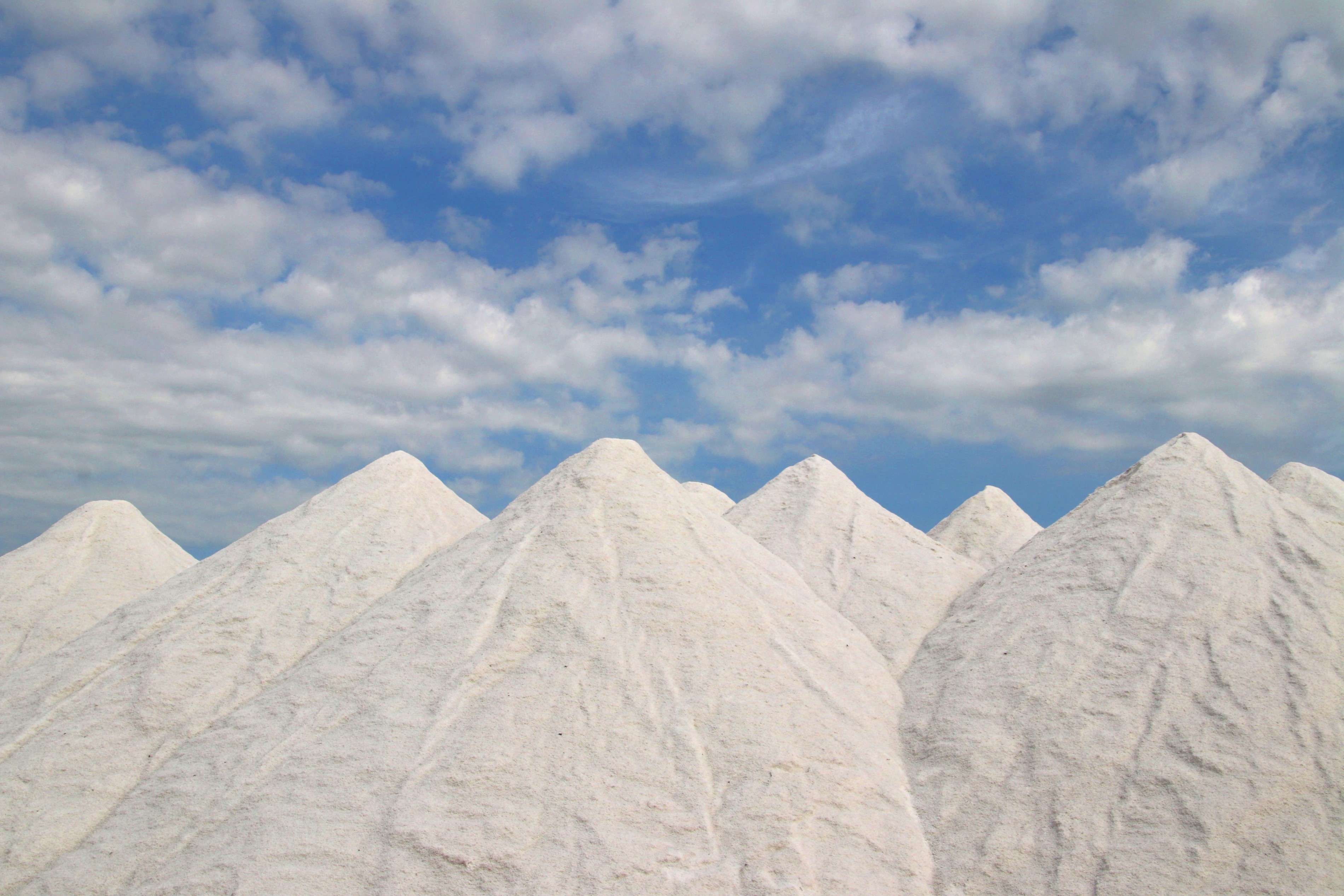 內(nèi)蒙古額吉淖爾制鹽有限公司2020年動(dòng)力燃煤采購項(xiàng)目中標(biāo)公示