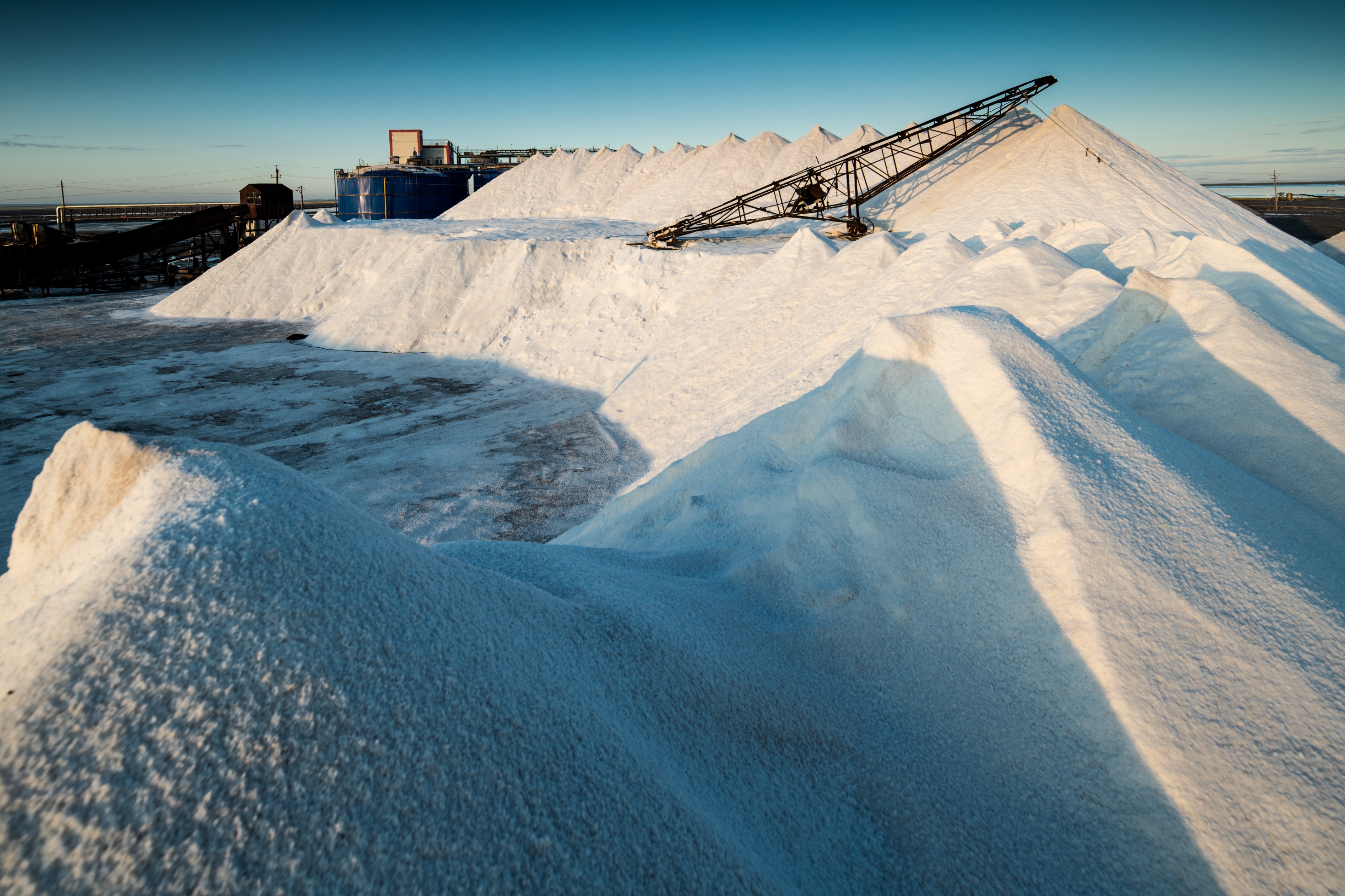 內(nèi)蒙古額吉淖爾制鹽有限公司2024年叉車裝卸倒運作業(yè)外包服務(wù)項目【網(wǎng)上競價】