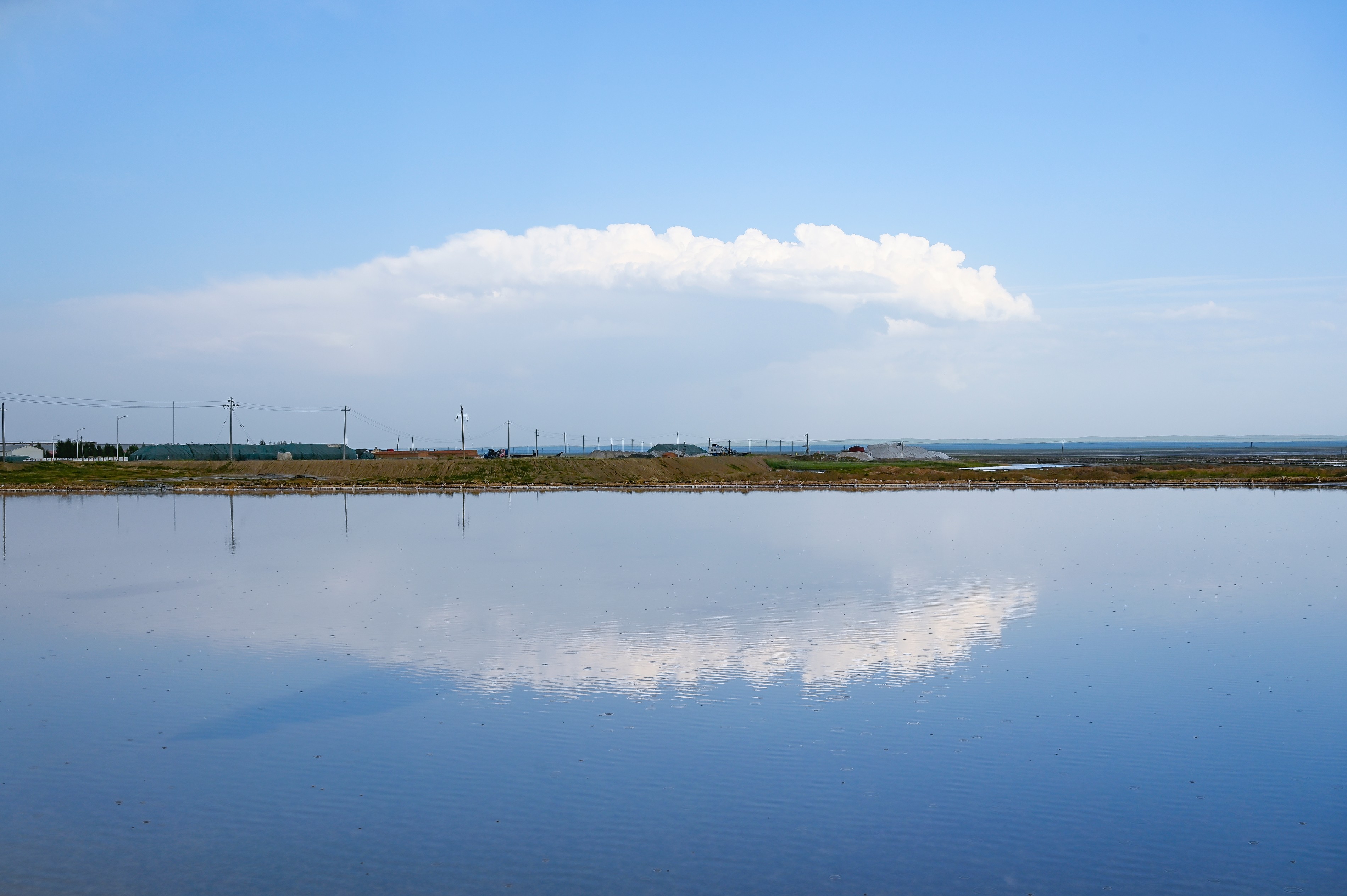 成交結果確認公告