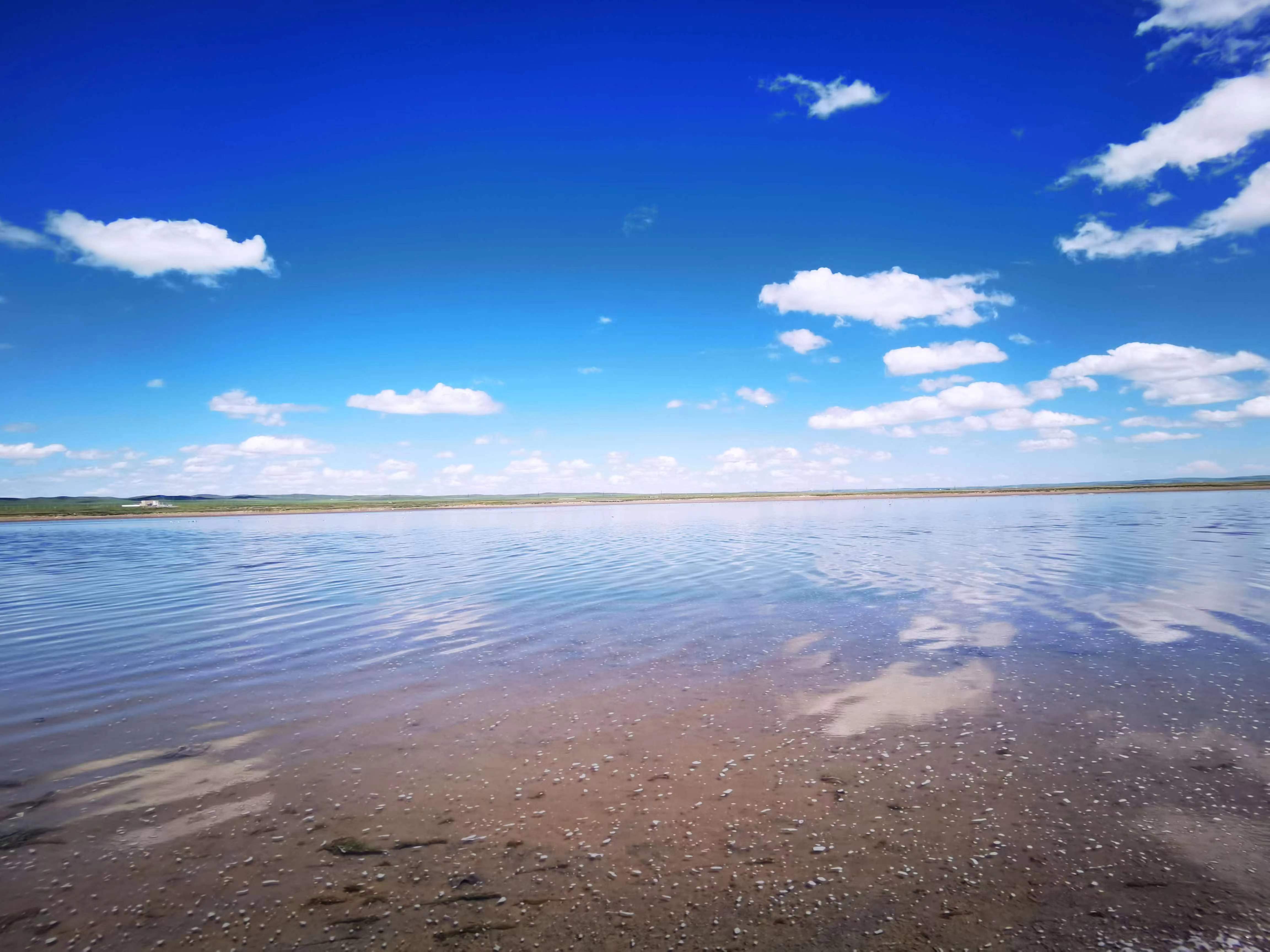 關(guān)于內(nèi)蒙古額吉淖爾制鹽有限有限公司 2025 年面向社會公開招聘擬錄用人員公示