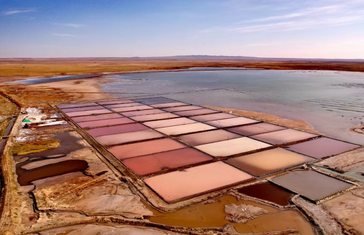 關(guān)于額吉淖爾大青鹽地理標志品牌提升與推廣過程中的創(chuàng)新產(chǎn)出與高質(zhì)量專利布局技術(shù)服務(wù)網(wǎng)上比價采購公告