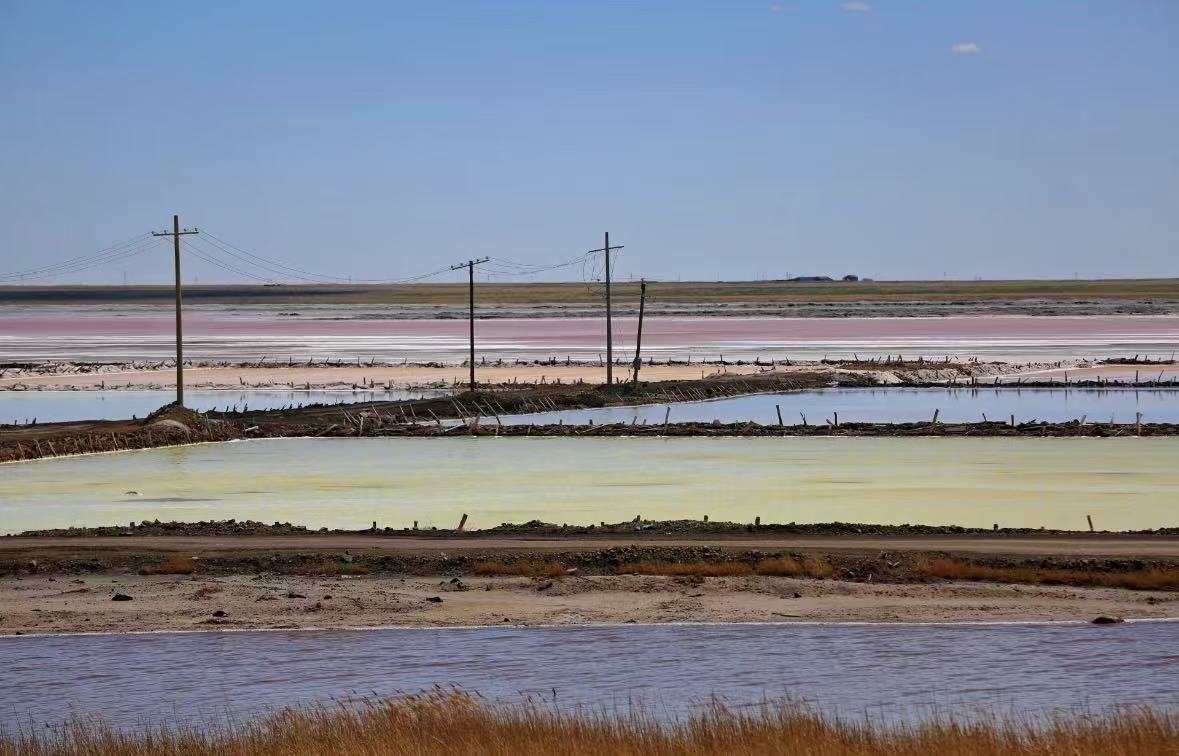 成交結(jié)果確認公告