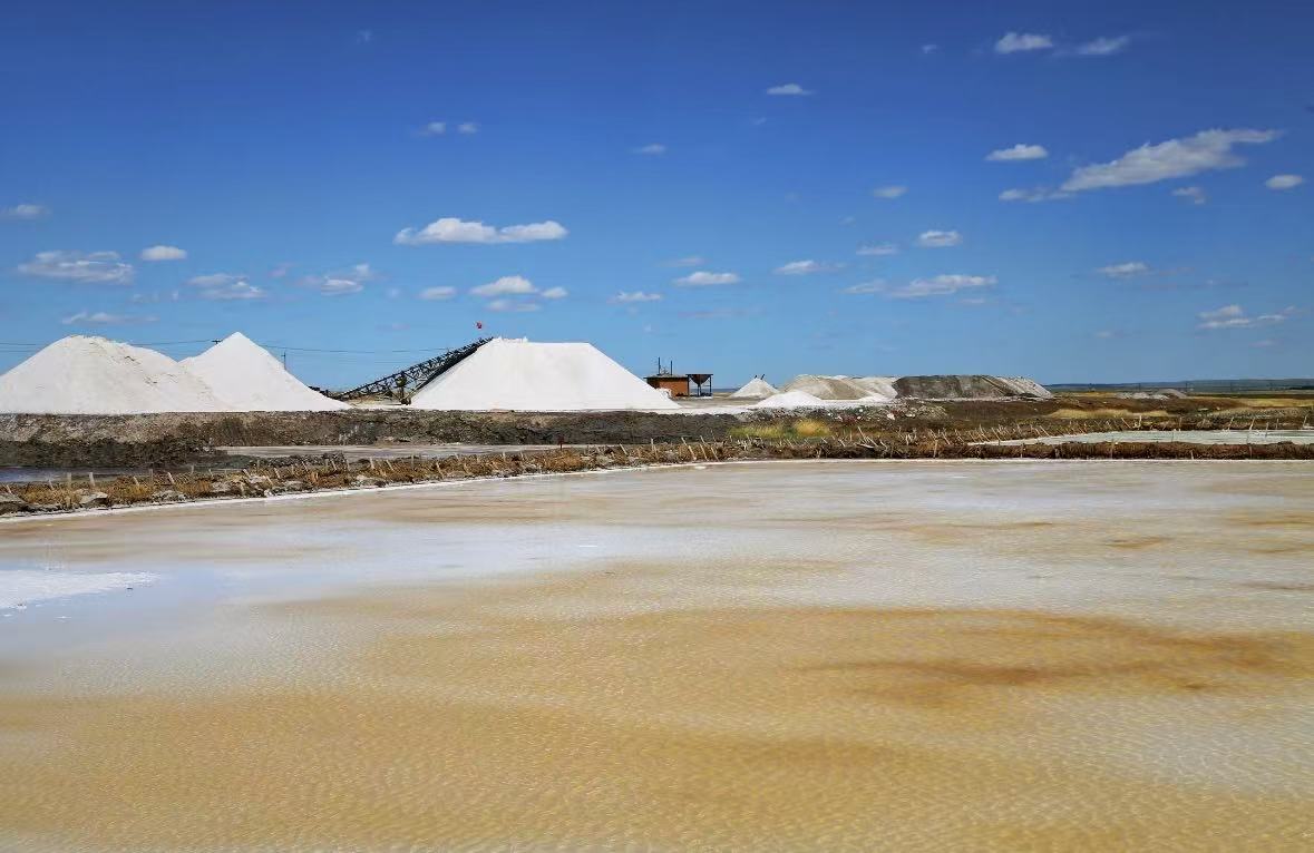 成交結(jié)果確認公告